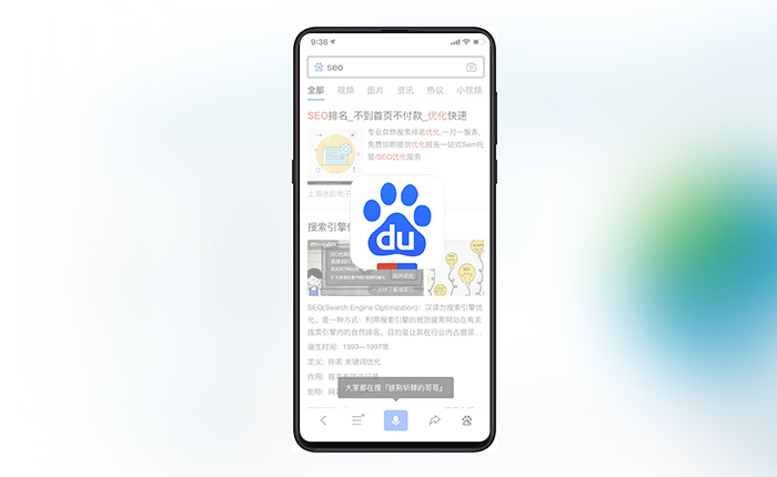 BaiduのWEB版・APP版SEOの種類説明図