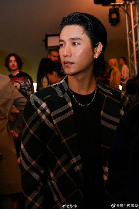 陈坤 (Chen Kun)