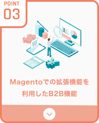 Magentoでの拡張機能を利用したB2B機能